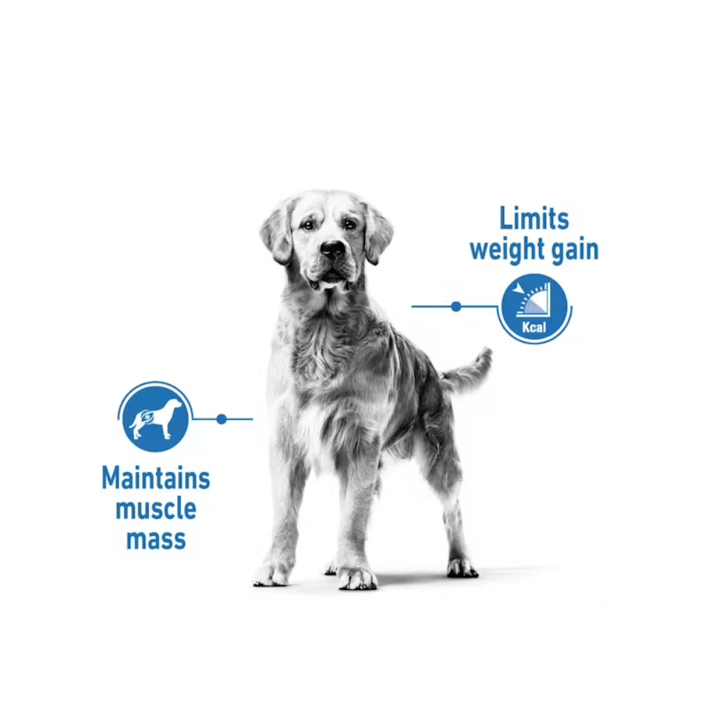 Royal Canin Maxi Light Weight Care