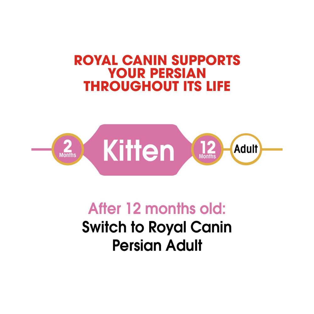 Royal Canin Persian Kitten