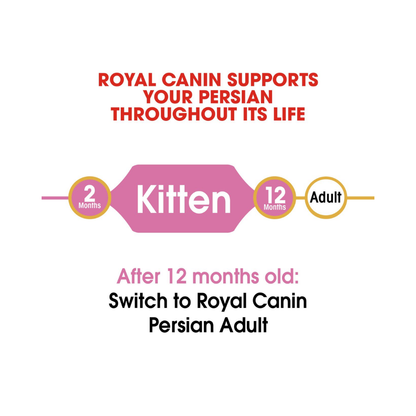 Royal Canin Persian Kitten