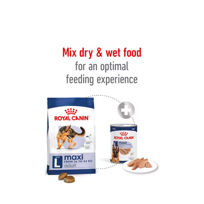 Royal Canin Maxi Adult