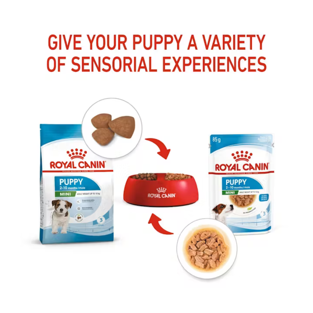 Royal Canin Mini Puppy